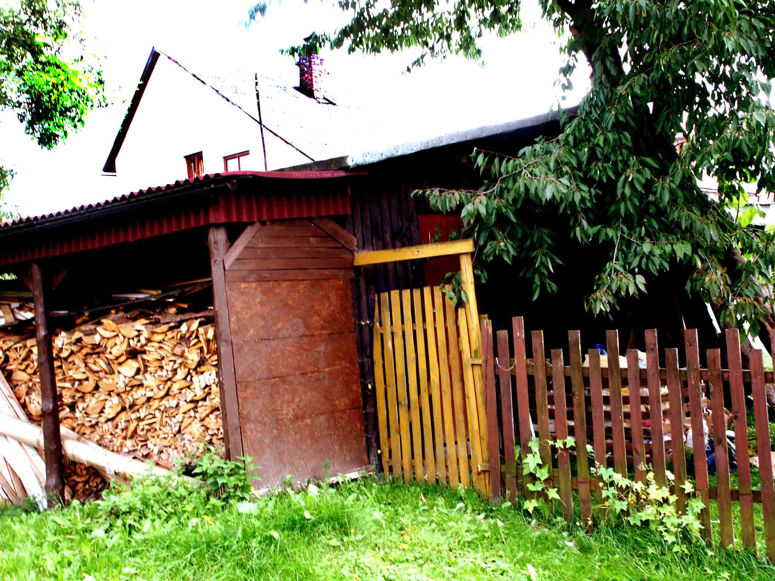 drewutnia.jpg (320347 bytes)