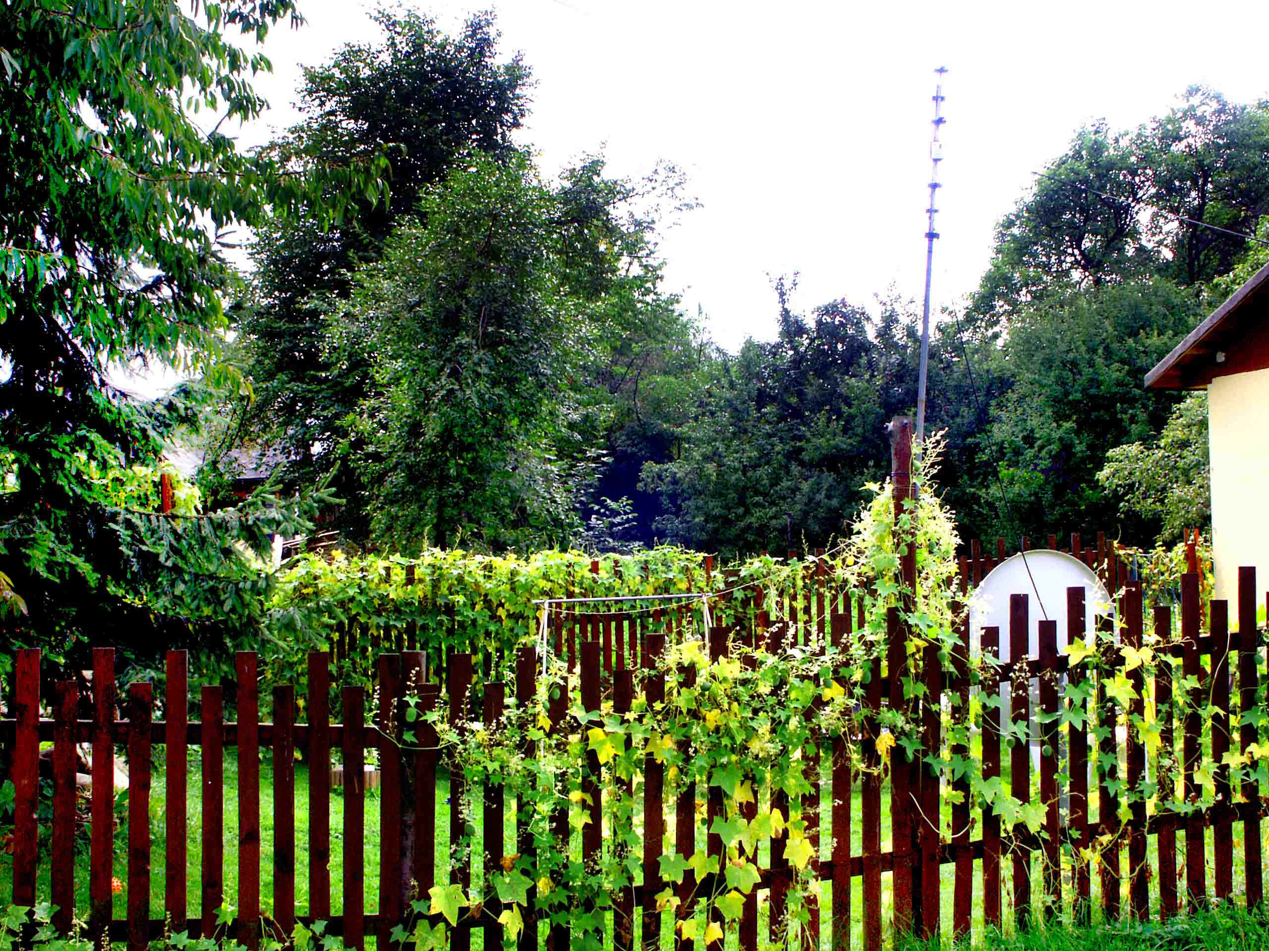 pole2.jpg (478602 bytes)