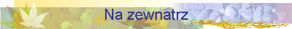 Na zewnatrz