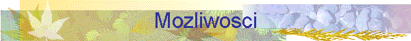Mozliwosci